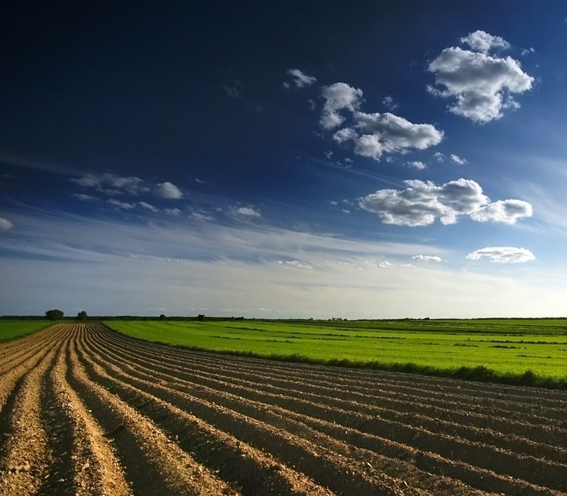 Plowed field under blue sky