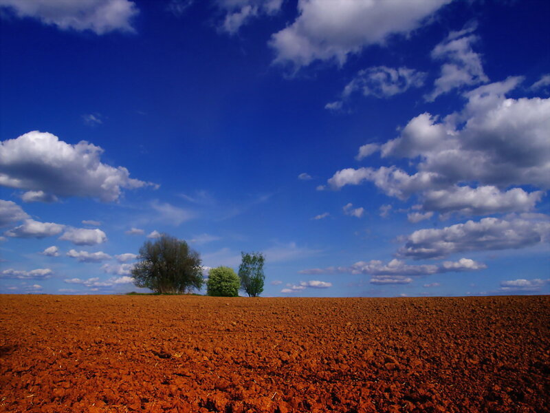 Plowed field under blue sky