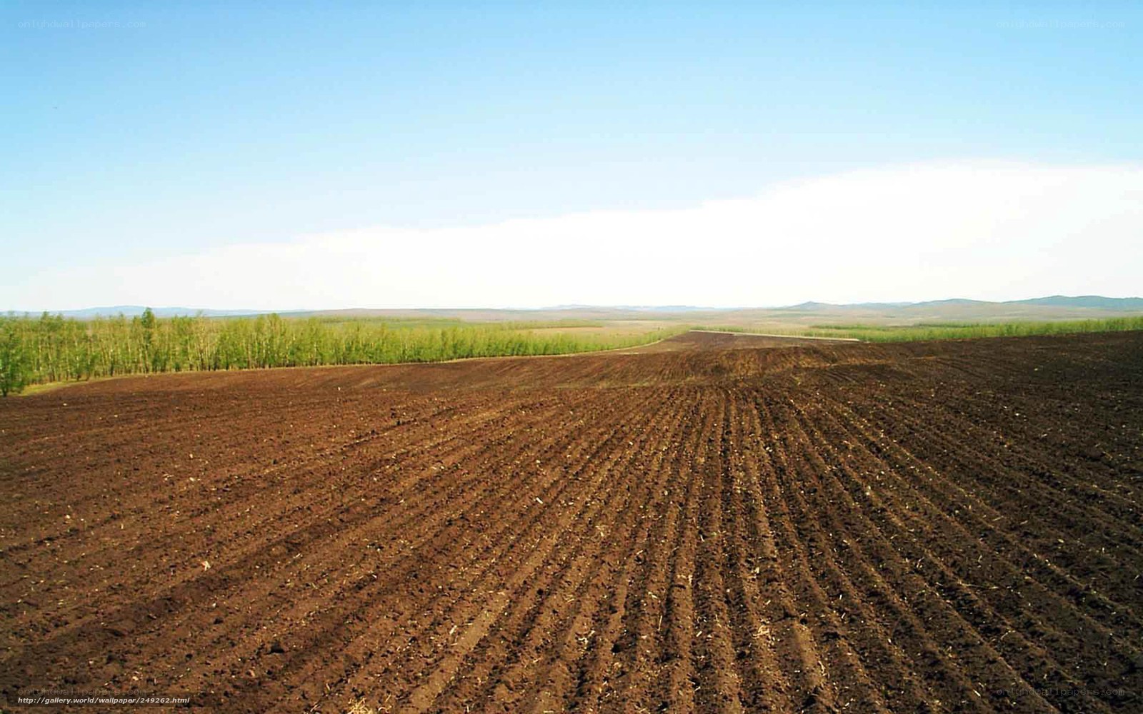 Plowed field under blue sky