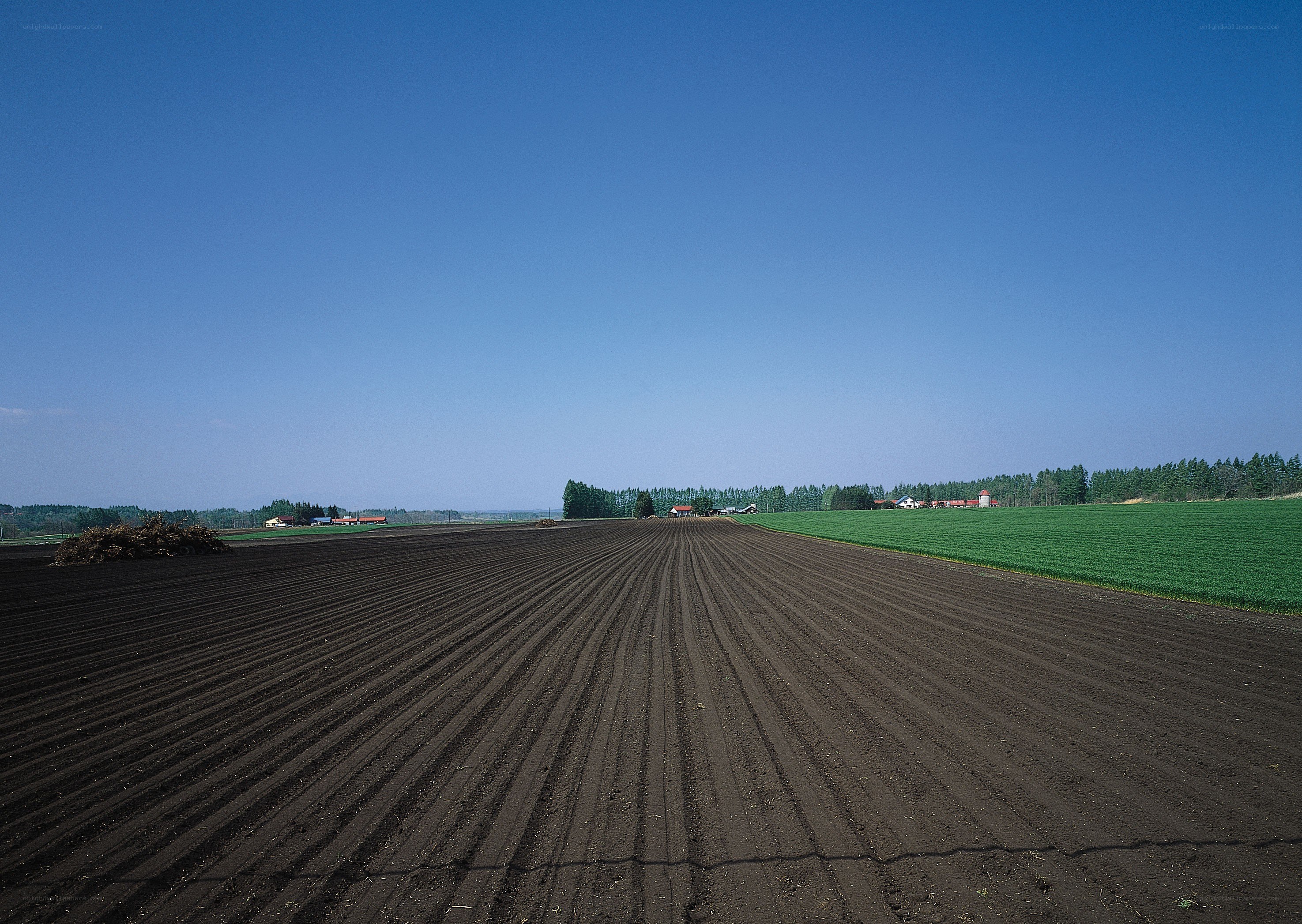 Plowed field under blue sky