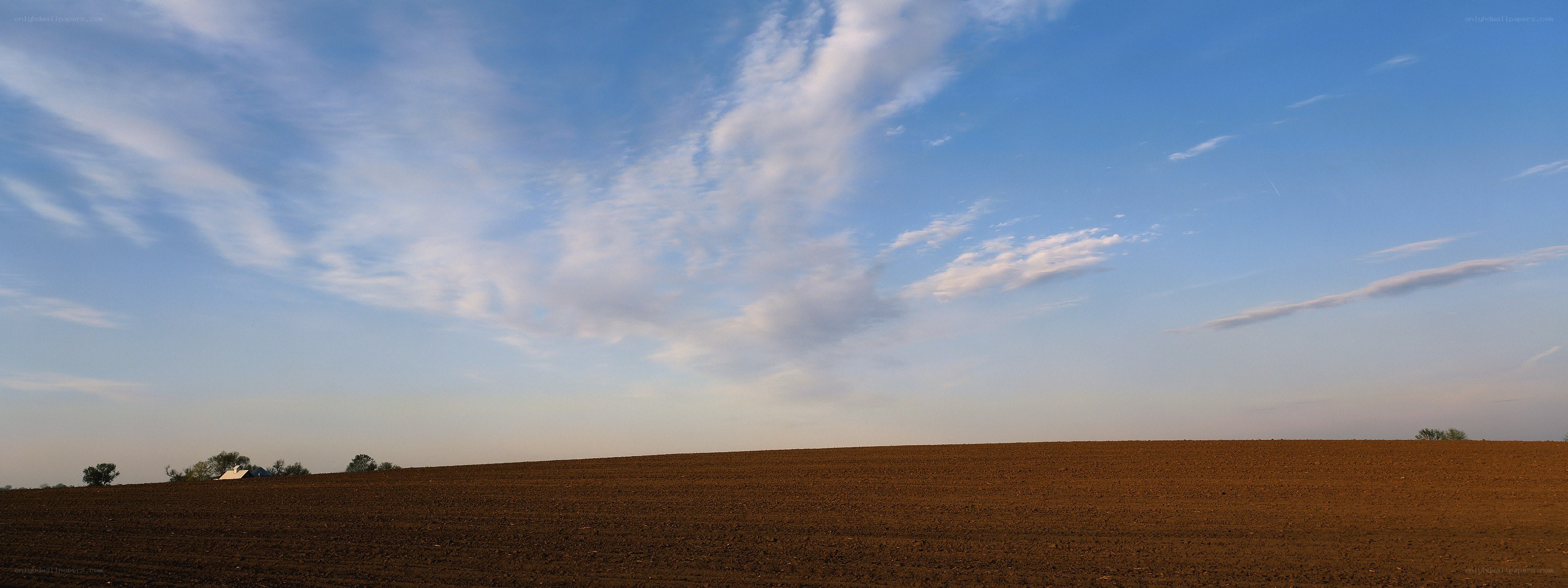 Plowed field under blue sky