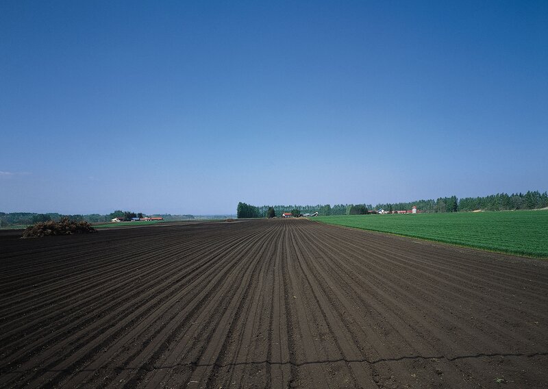 Plowed Field under Blue Sky — Serene
