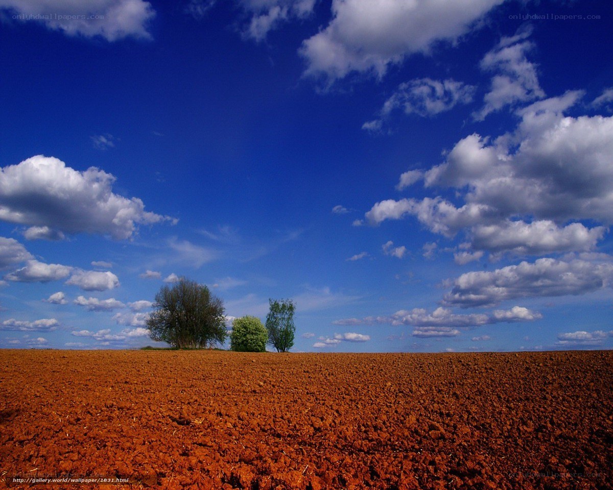 Plowed field under blue sky