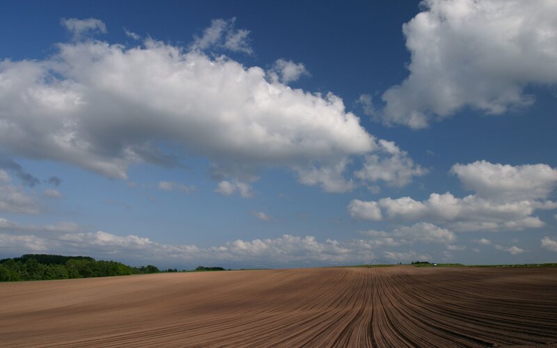 Plowed Field under Clouds — Brown