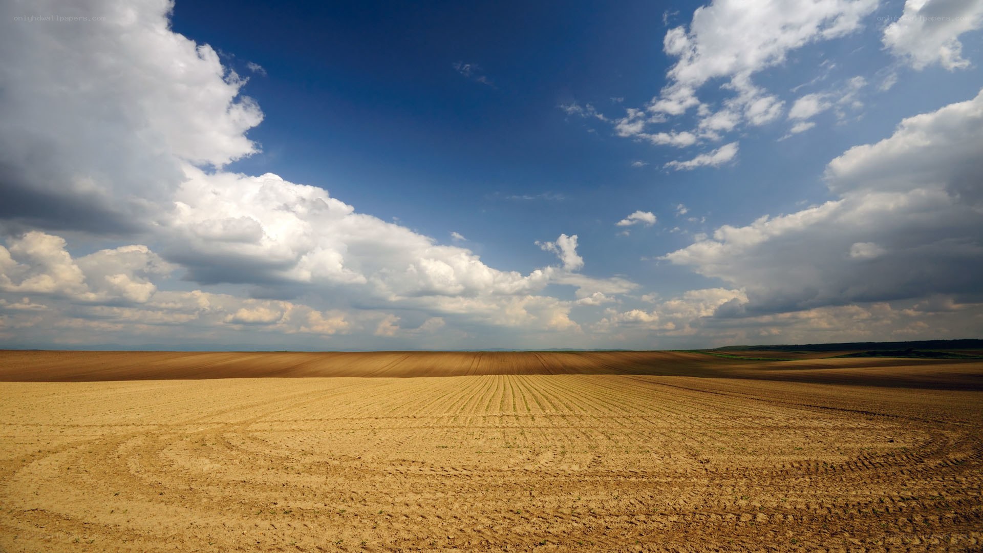 Plowed field under cloudy sky