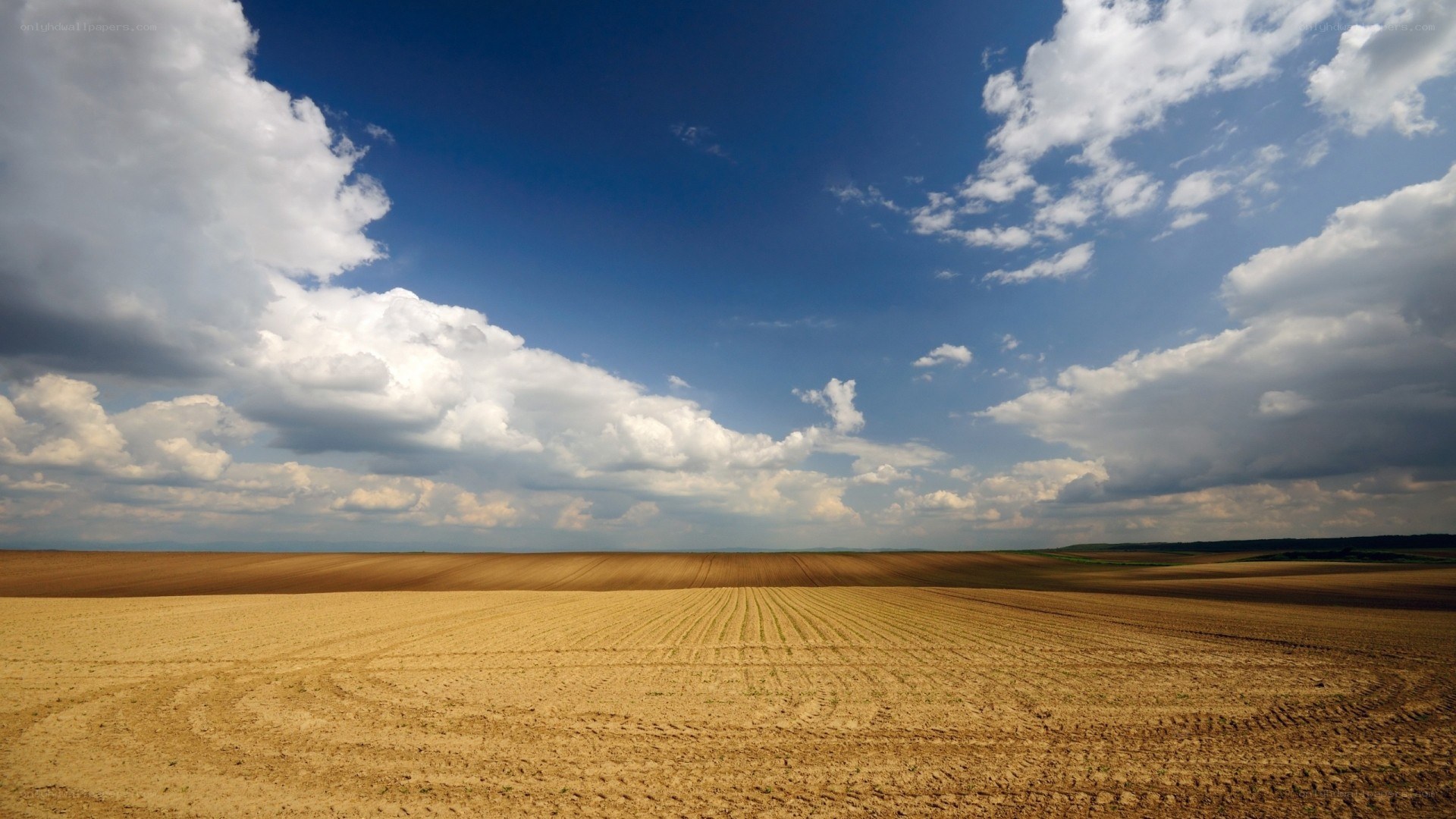 Plowed field under cloudy sky