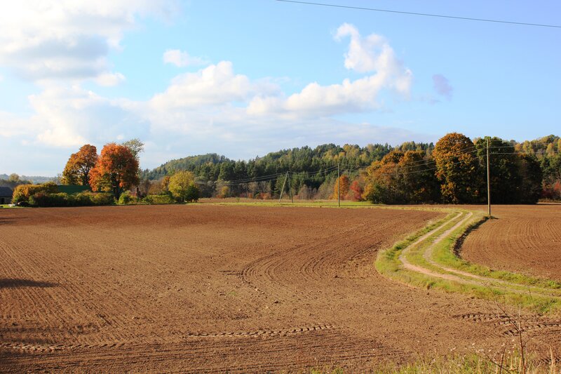 Plowed Field with Dirt Path