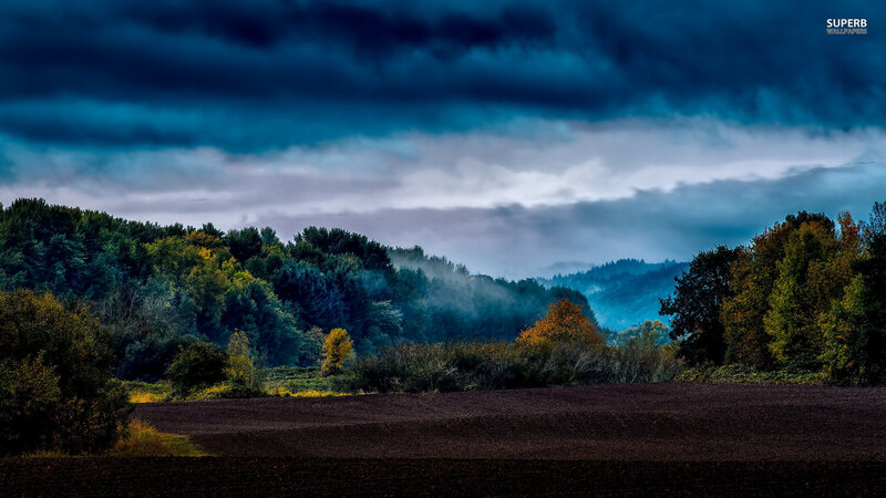 Plowed Field with Forest — Blue