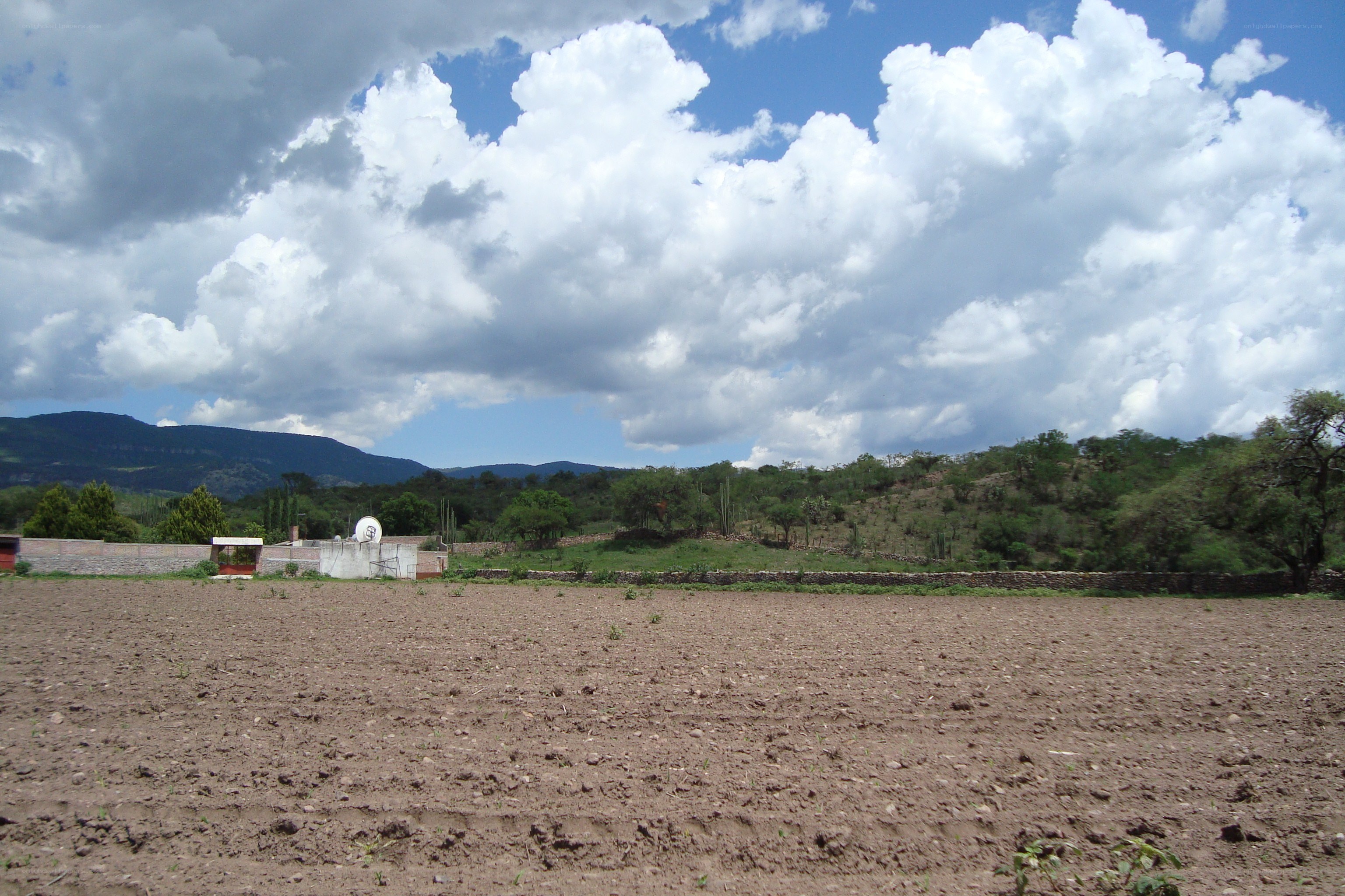Plowed field with mountains