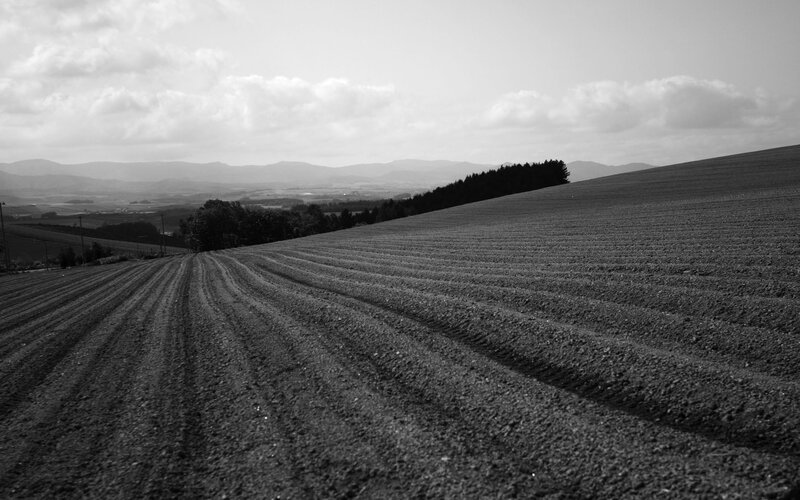 Plowed Field with Mountains — Black