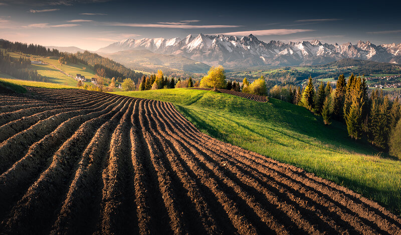 Plowed Field with Mountains — Brown