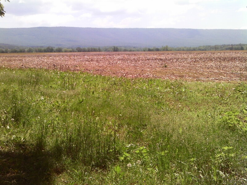 Plowed Field with Mountains — Green
