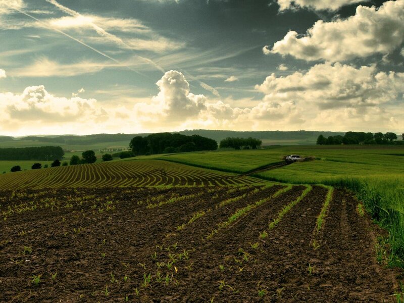 Plowed Field with Tractor