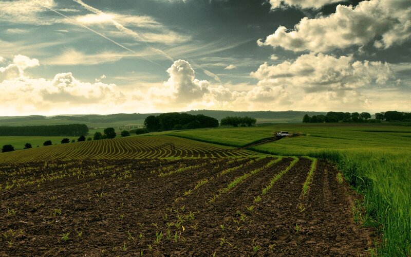 Plowed Fields and Green Crops — Dramatic