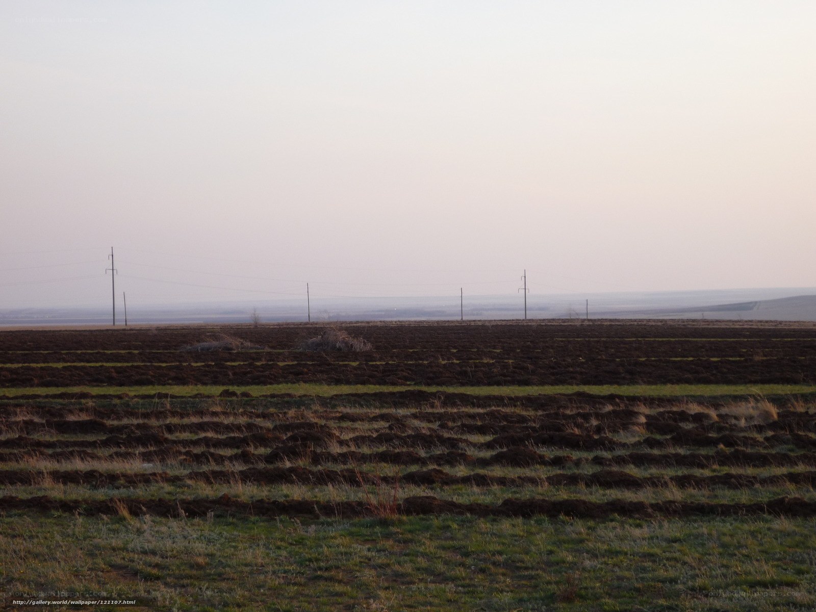 Plowed fields at dusk