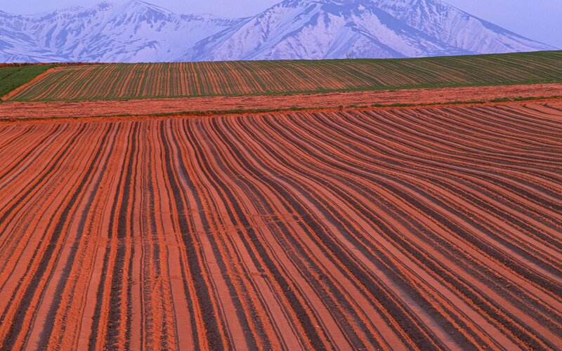 Plowed Fields with Mountains