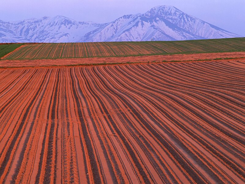 Plowed Fields with Snow-Capped Mountains