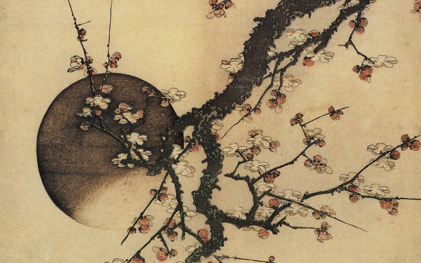Plum blossoms and moon