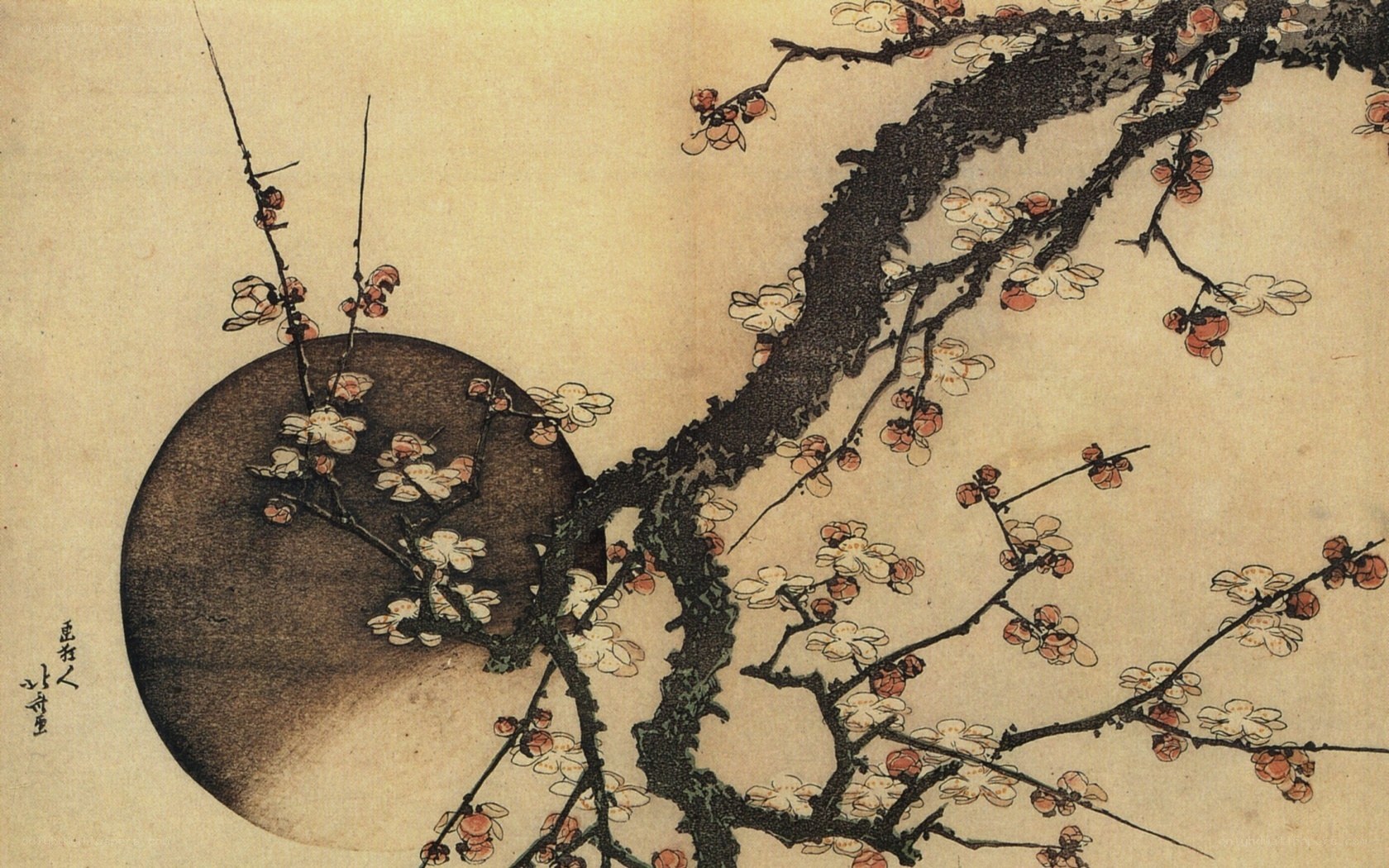 Plum Blossoms and Moon