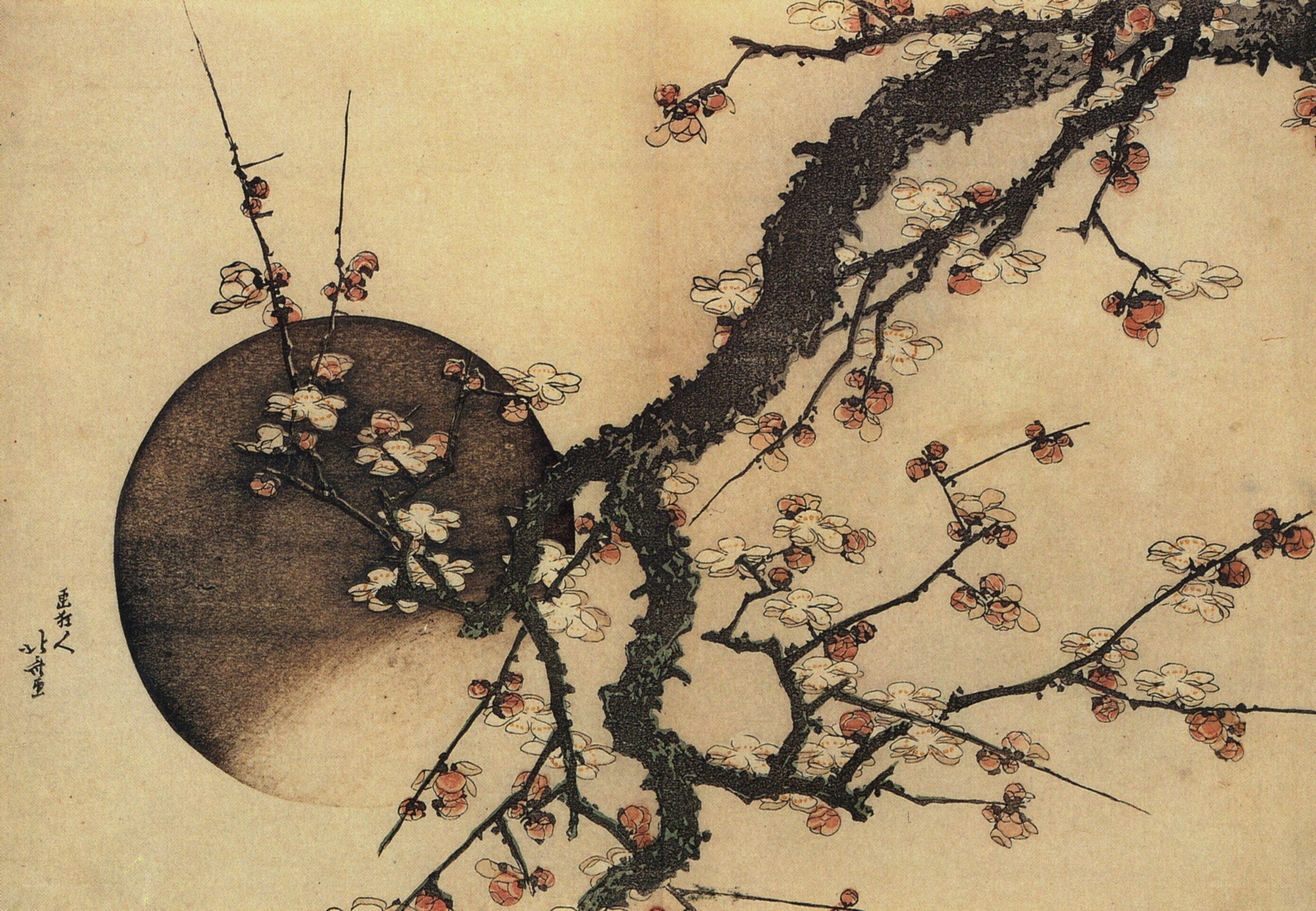 Plum blossoms under the moon