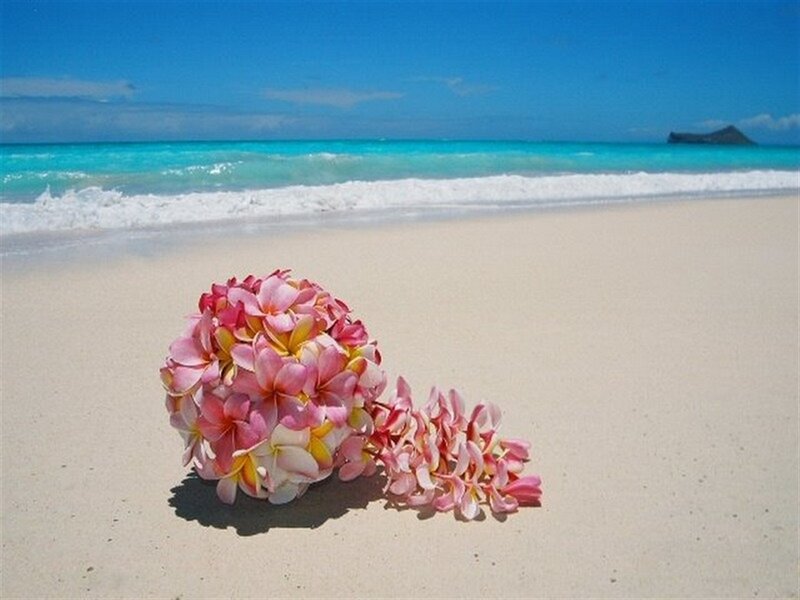 Plumeria Bouquet on Beach