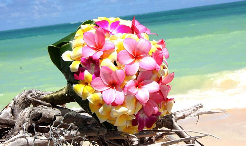 Plumeria Bouquet on Driftwood