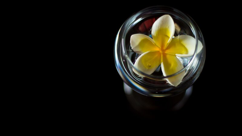 plumeria flower in glass of water