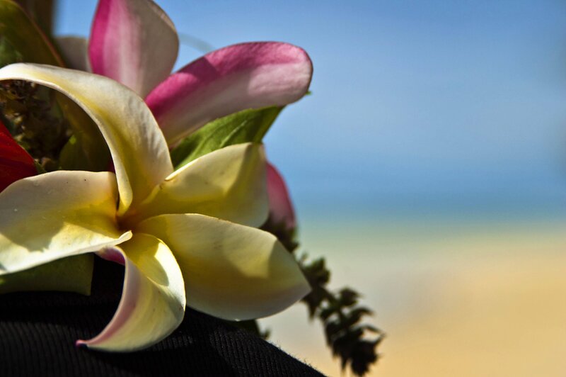 Plumeria Flower on Hat