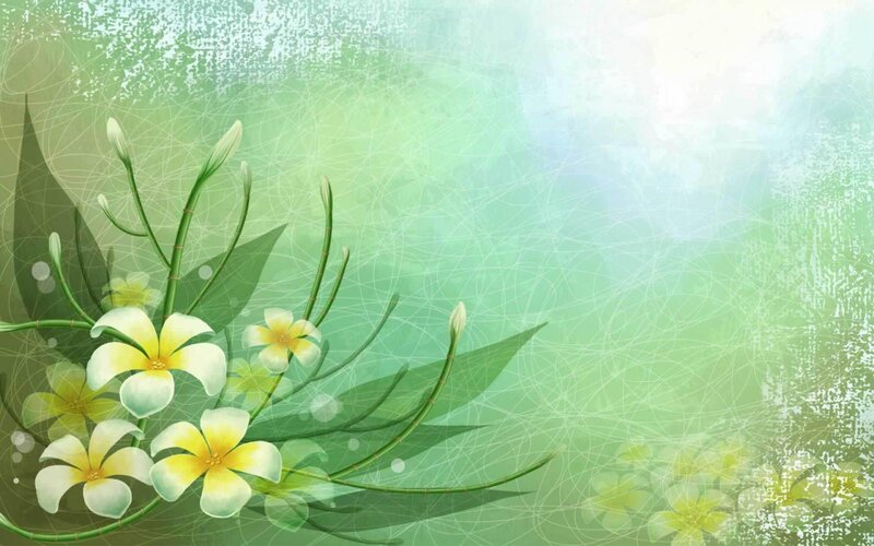 Plumeria Flowers and Leaves — Green