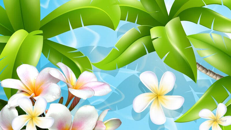 Plumeria Flowers and Palm Leaves
