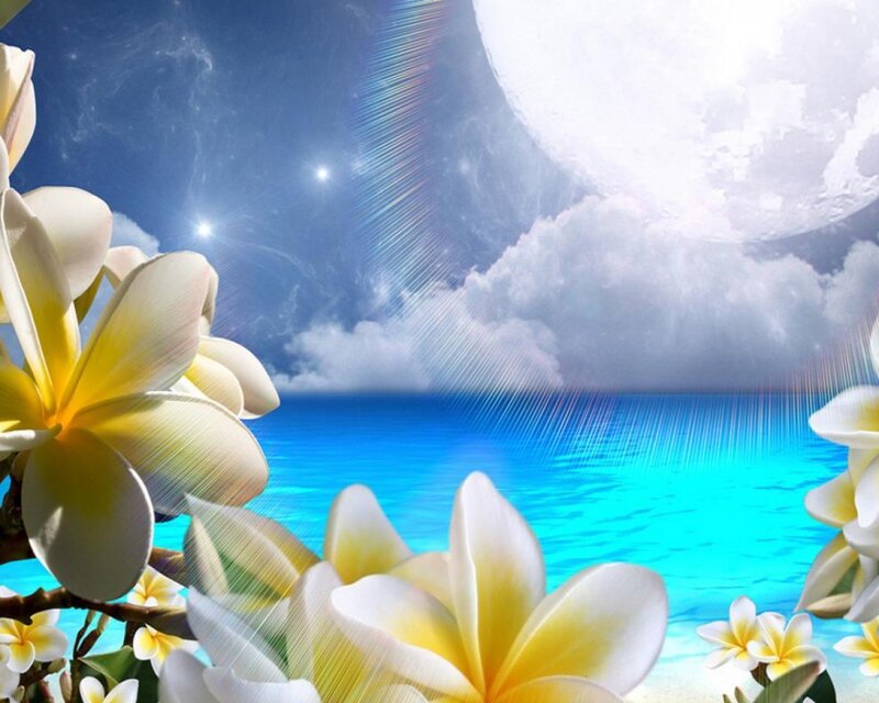 Plumeria Flowers by Ocean — Blue
