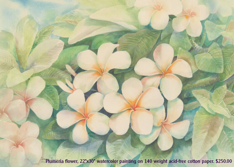 Plumeria Flowers