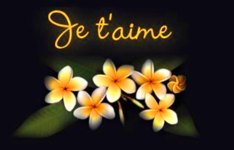 Plumeria Flowers — Yellow, Romantic