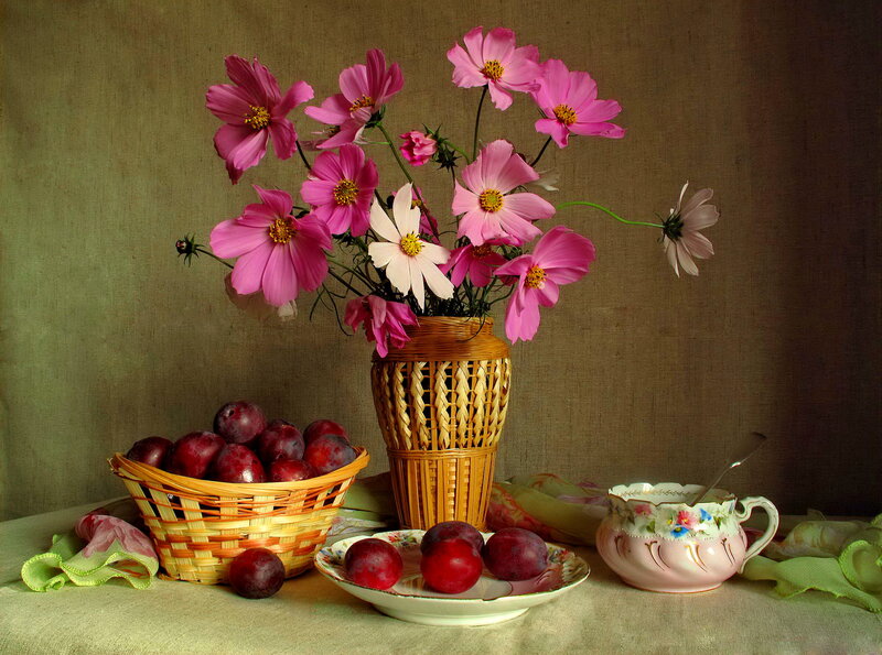 Plums and Cosmos Flowers — Pink