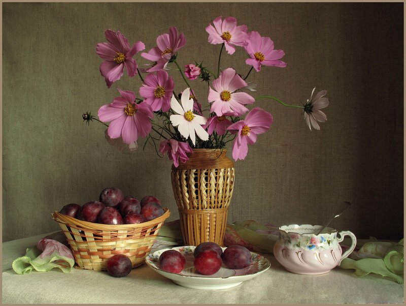 Plums and Cosmos Flowers