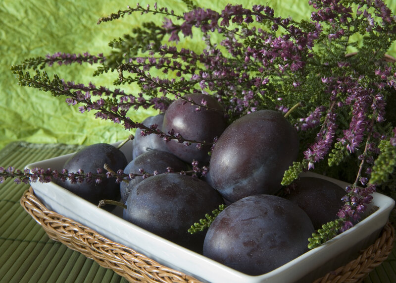 Plums in a Bowl — Purple