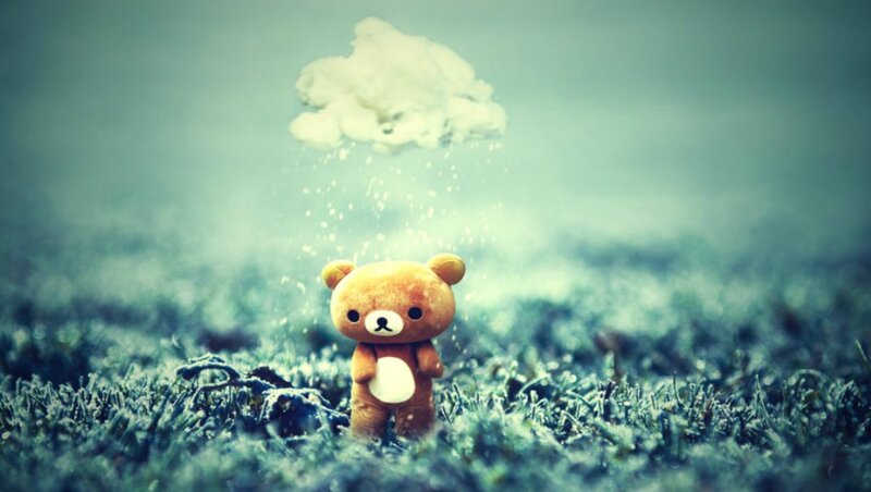 Plush Bear in Frost