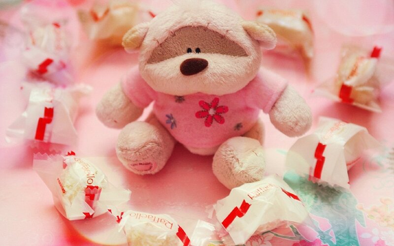 Plush Bear with Candies