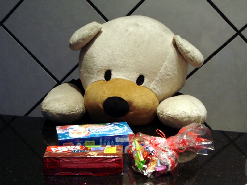 Plush bear with candy treats