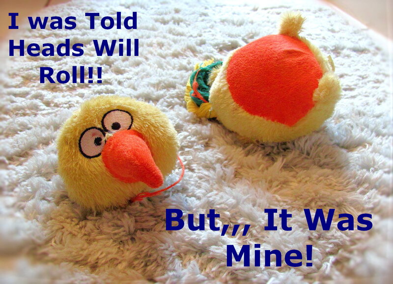 Plush Birds on Carpet