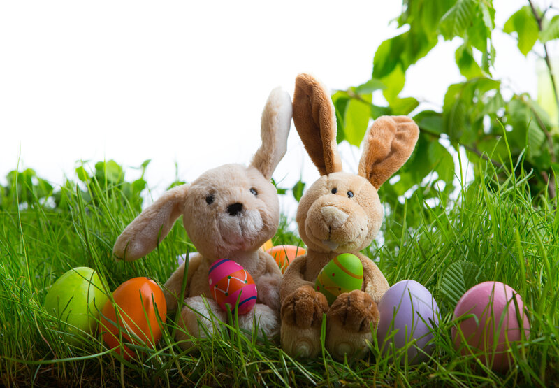 Plush Bunnies with Eggs