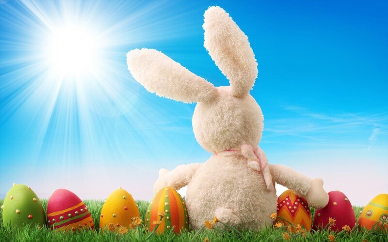 Plush Bunny with Eggs
