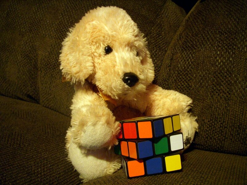 Plush Dog Holding Cube