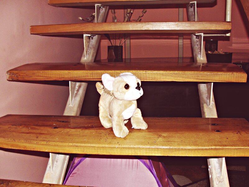 Plush Dog on Stairs