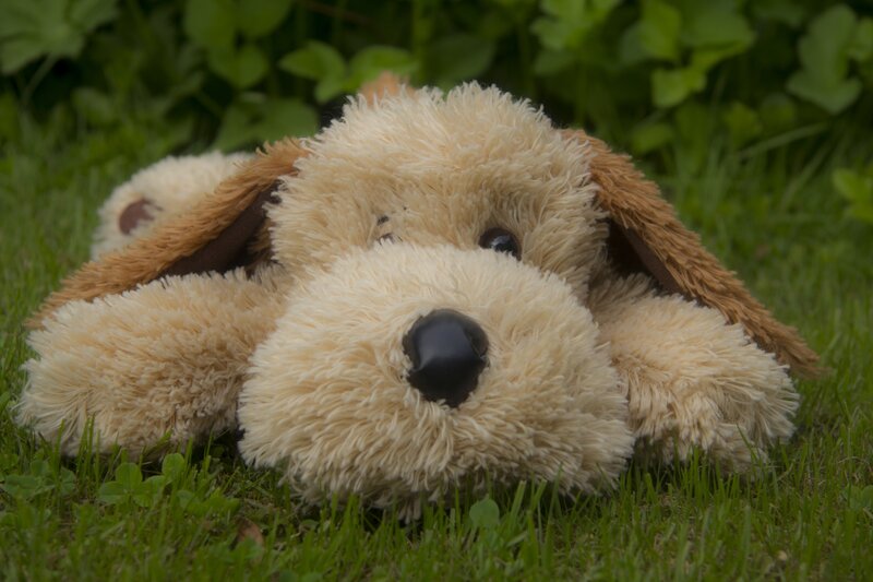 Plush Dog Toy — Green