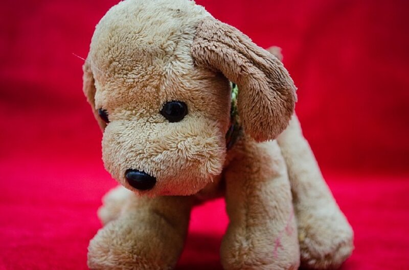 Plush Dog Toy — Red