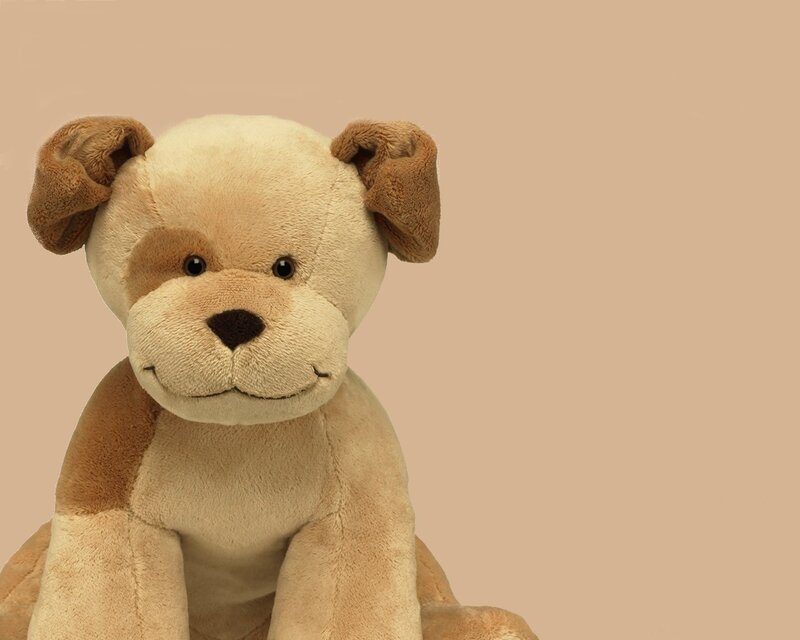 plush dog toy