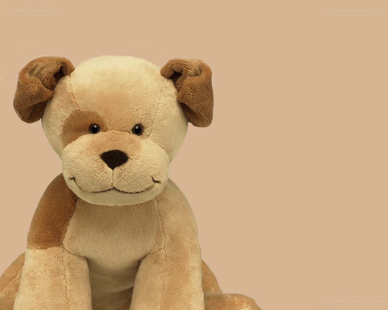 plush dog toy
