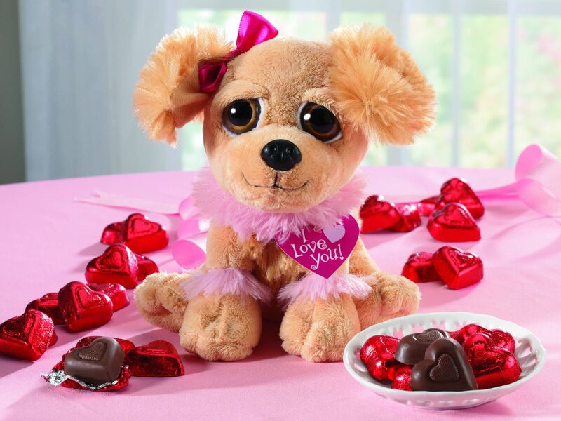 Plush Dog with Chocolates
