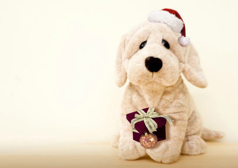 Plush Dog with Gift — Beige